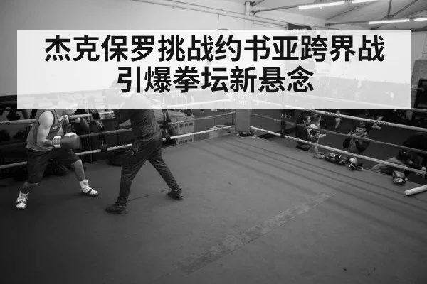boxer training gym